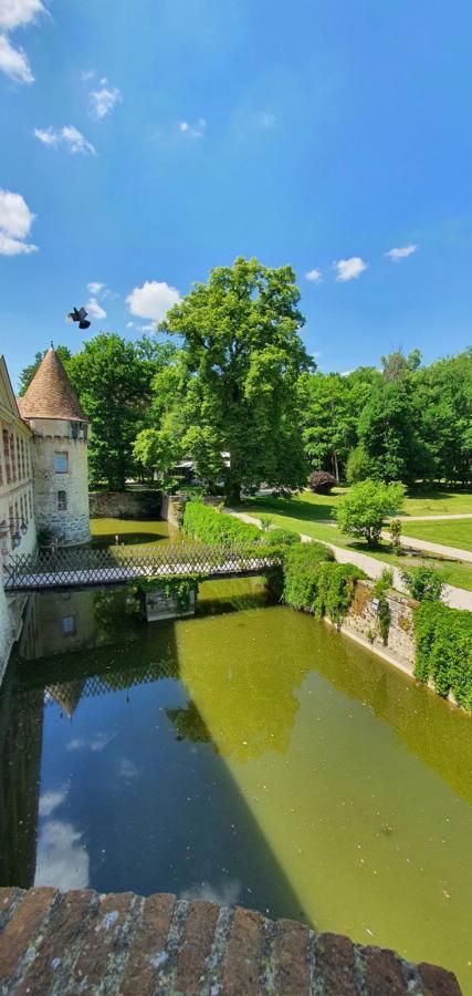 Chateau De La Cour Senlisse Exteriör bild